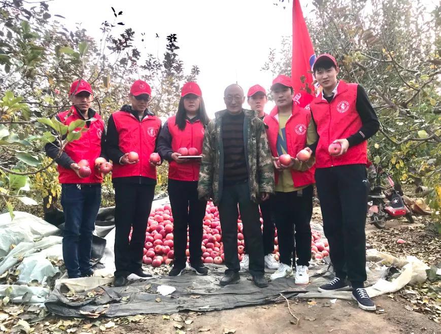 滦南房产出售最新消息，市场趋势与前景展望及市场最新动态分析